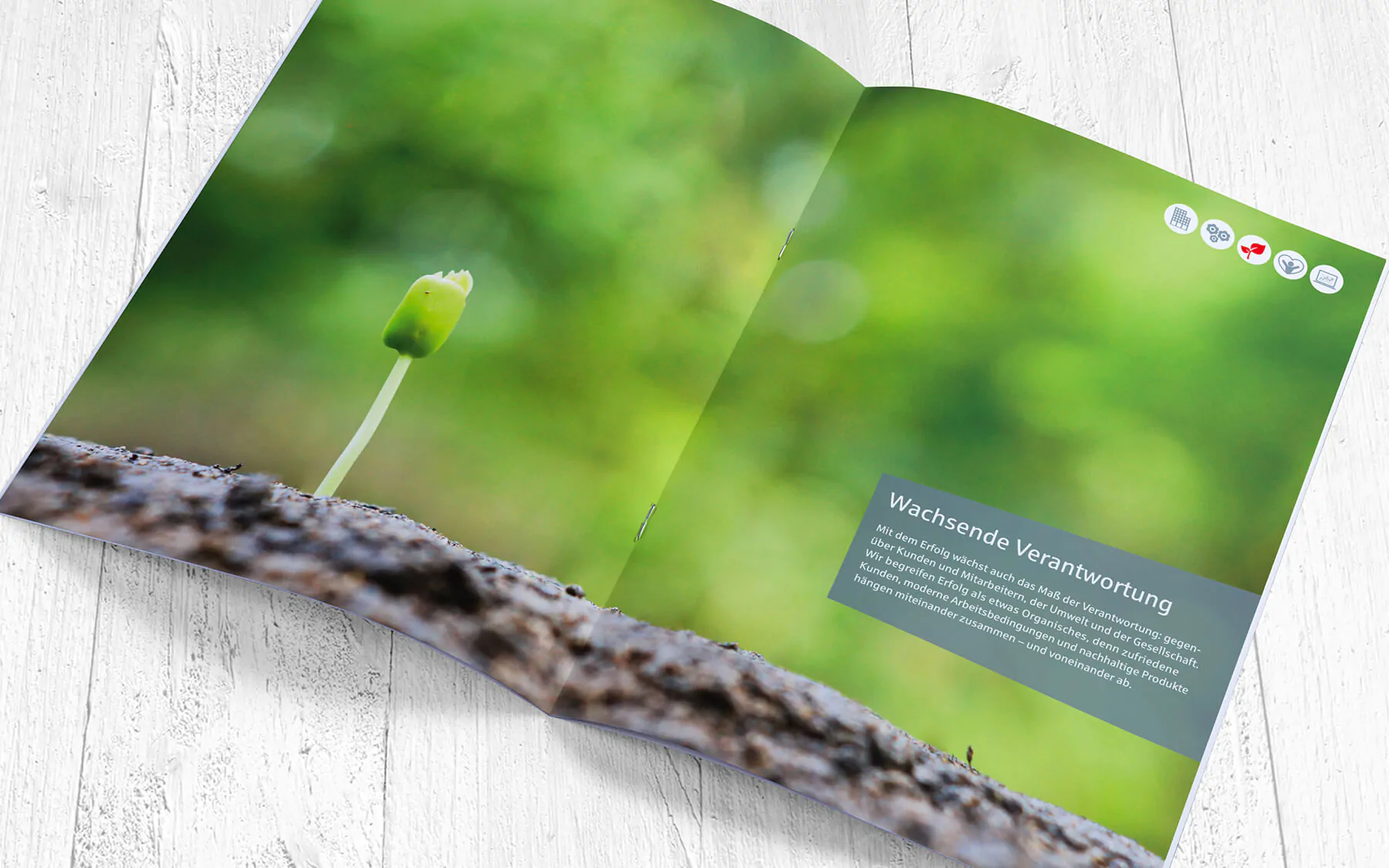 print agentur kataloge werbematerial big picture stationery plakate kampagnen werbeagentur berlin corporate design